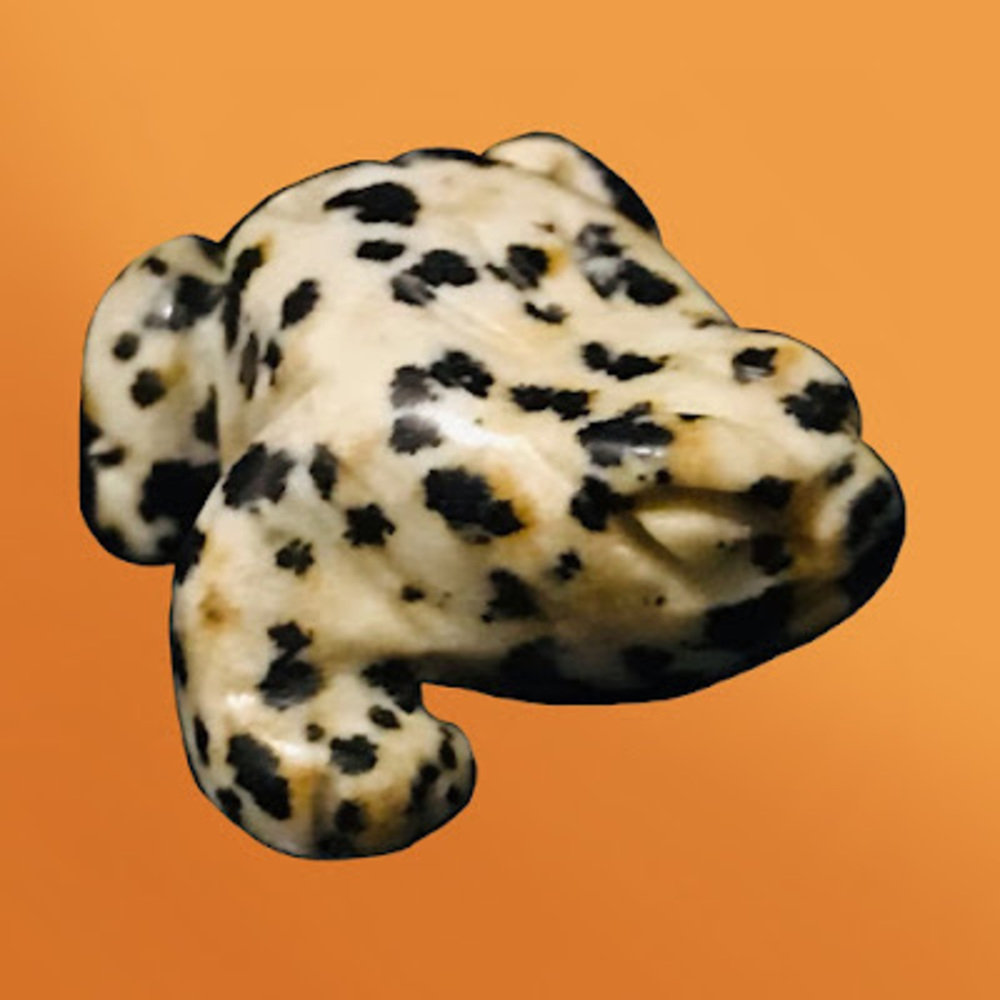 Meet your Posher, Alyssa-james gray